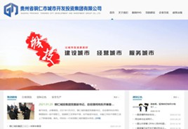 洛川城市开发投资集团有限公司